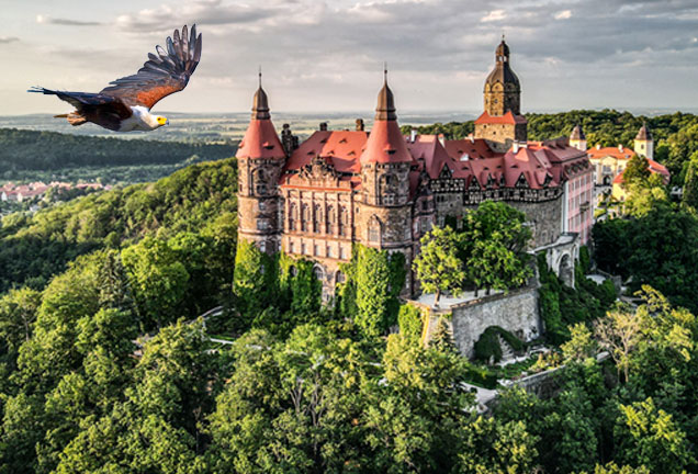 vogelvlucht